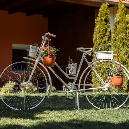 דירה Dumalux Royal *