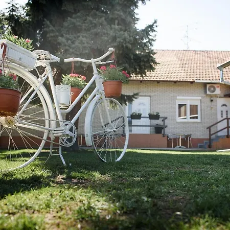 Dumalux Royal * סובוטיקה