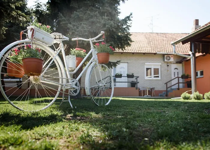 Dumalux Royal * スボティツァ